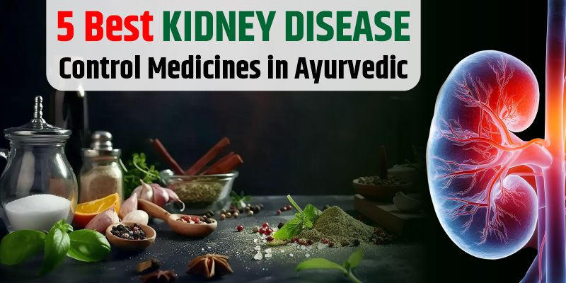 kidney-disease-control-medicines-in-ayurveda